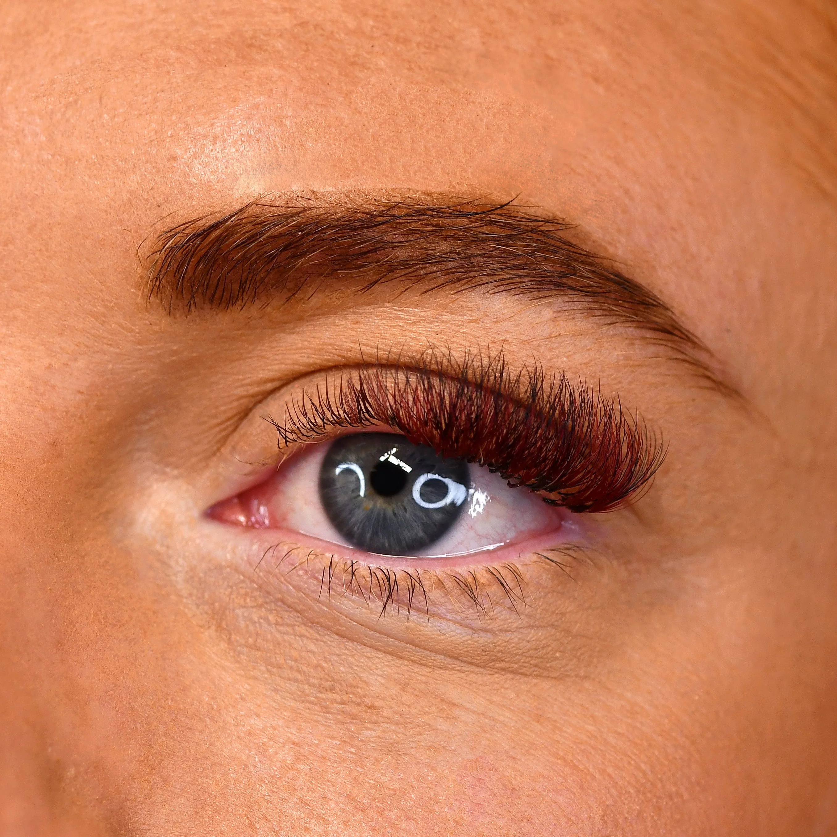 Color Lashes - Burgundy - Image 2