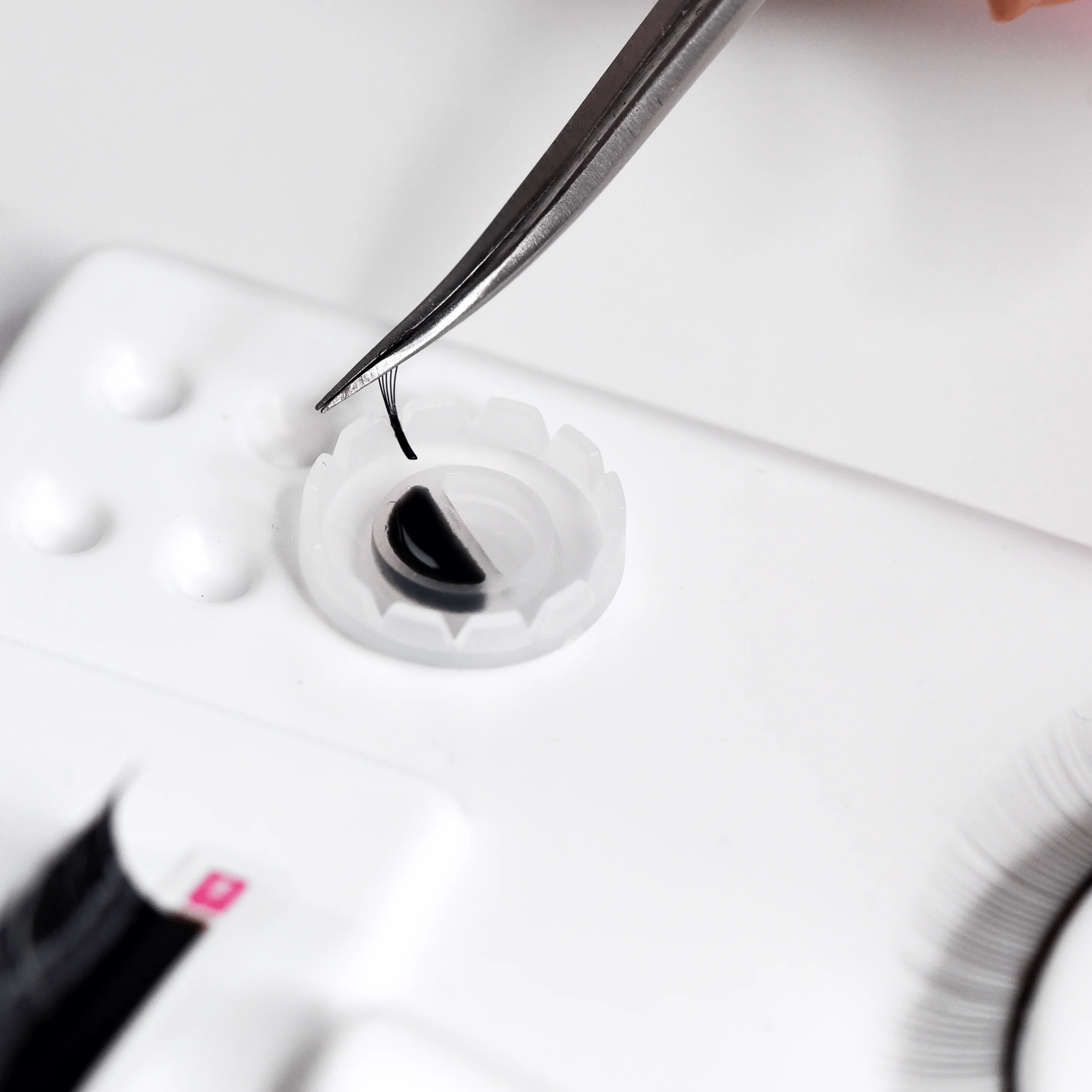 Lash Training Practice Tray - Image 2