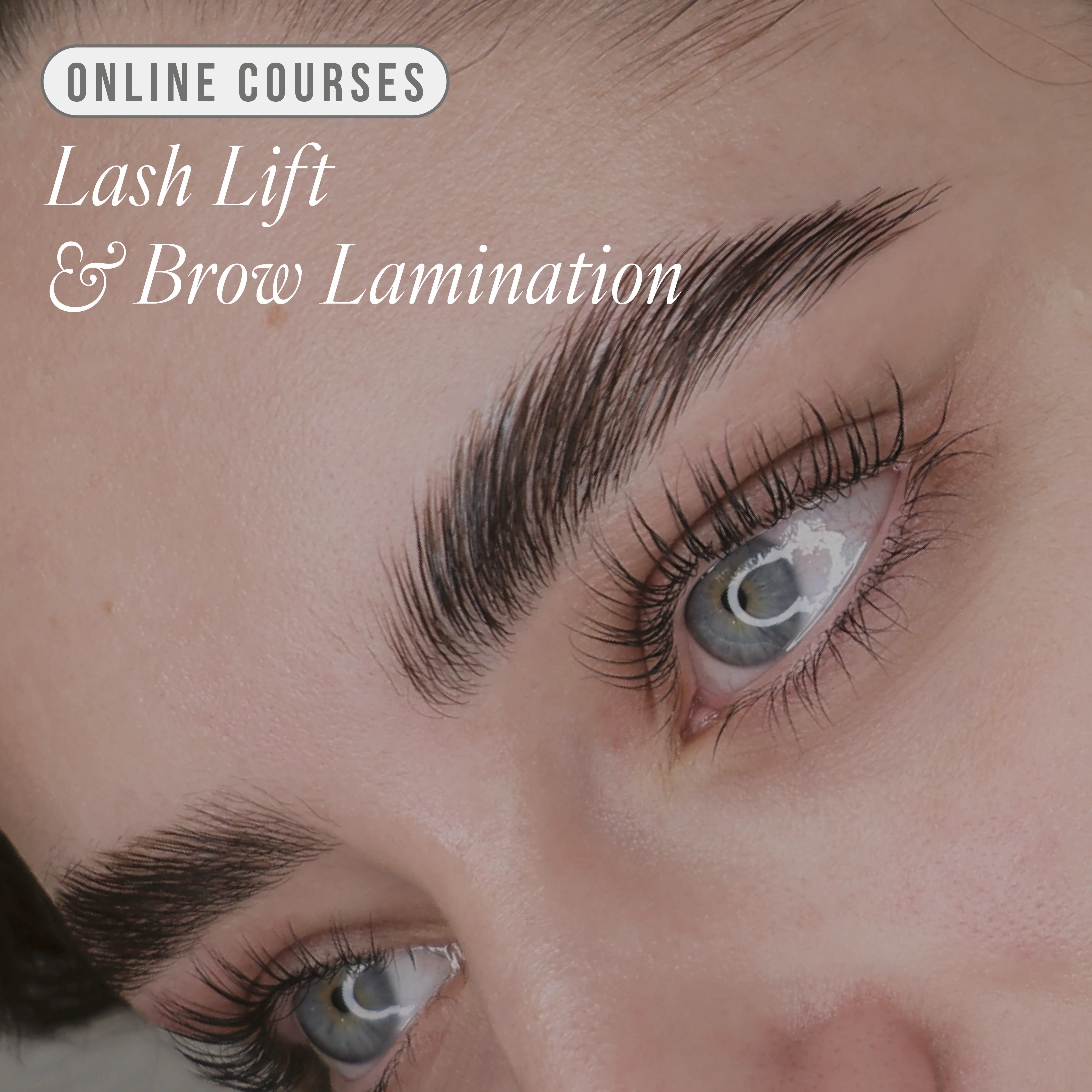 Online Lifted. Lash Lift & Brow Lamination Course - Kit Included