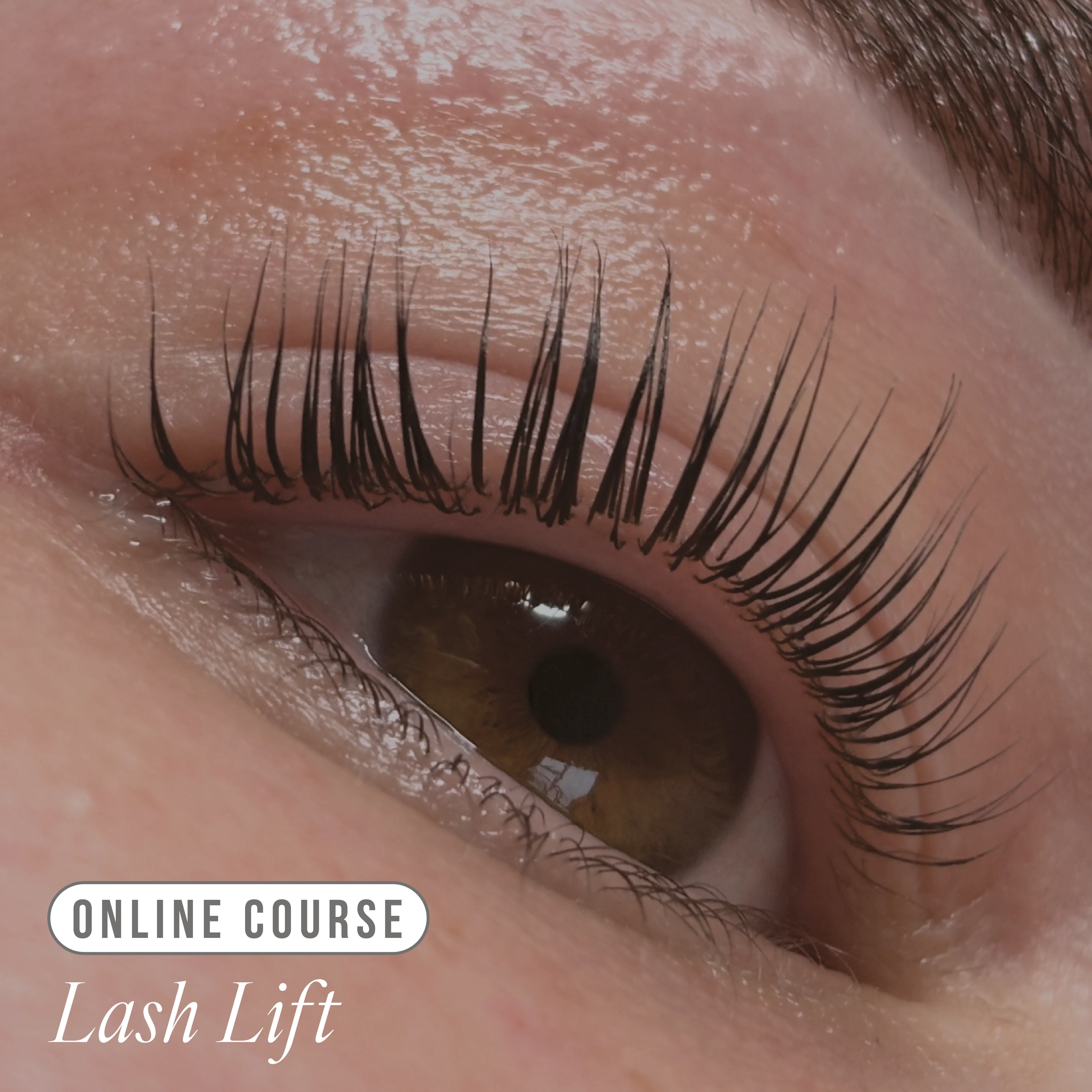 Online Lifted. Lash Lift Course - Kit Included