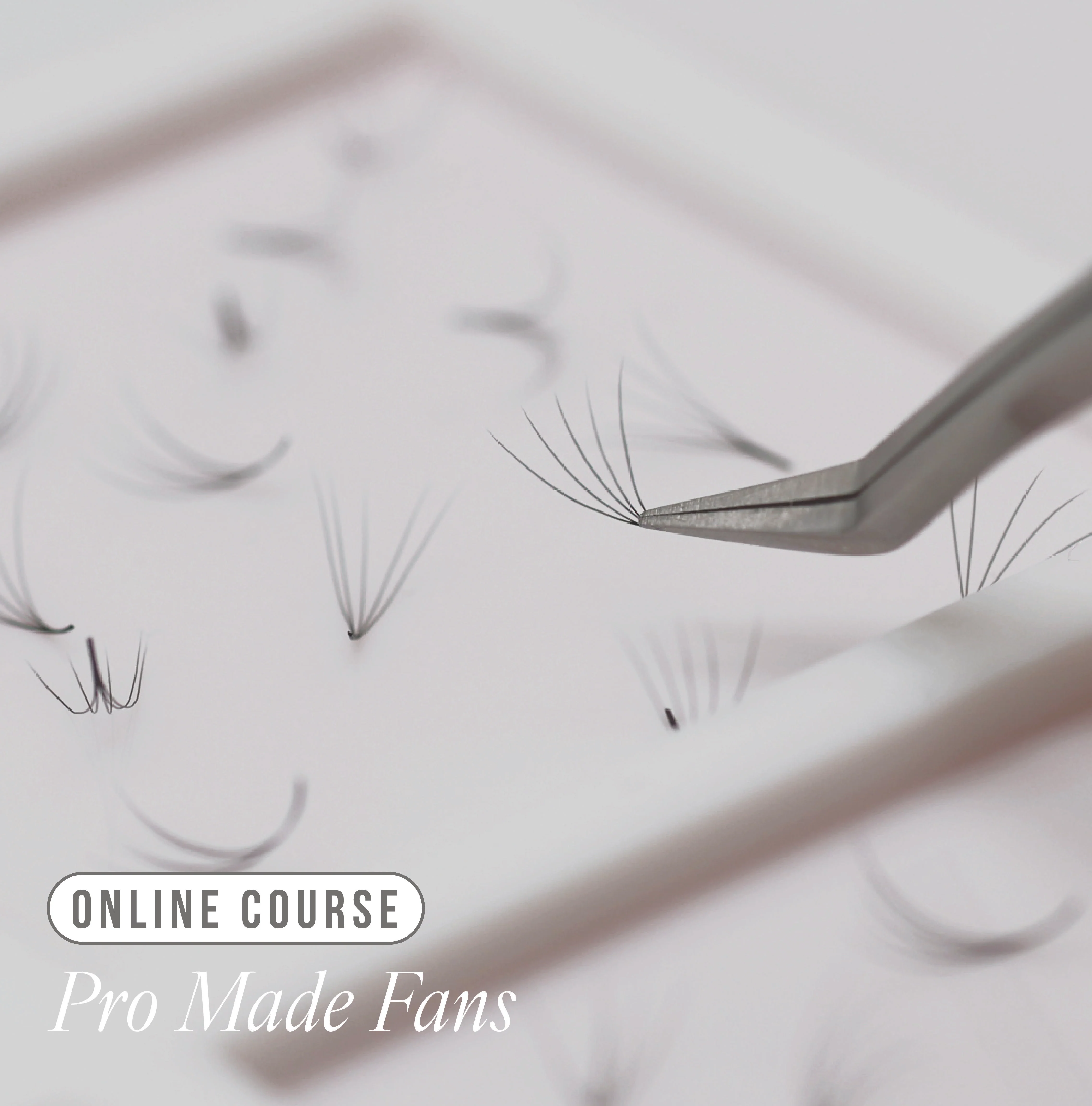 Online Pro Made Fan Course